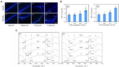 Inhibitory effect of carvacrol against Alternaria alternata causing goji fruit rot by disrupting the integrity and composition of cell wall